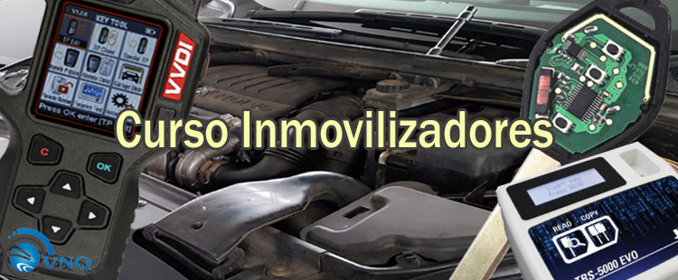 curso INMOVILIZADORES de veh&iacute;culos
